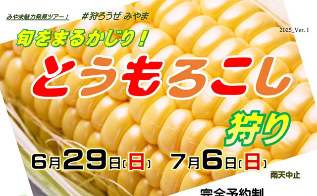 #狩ろうぜみやま『トウモロコシ狩り2025』もぎたてのトウモロコシのおいしさを味わう体験ツアー！