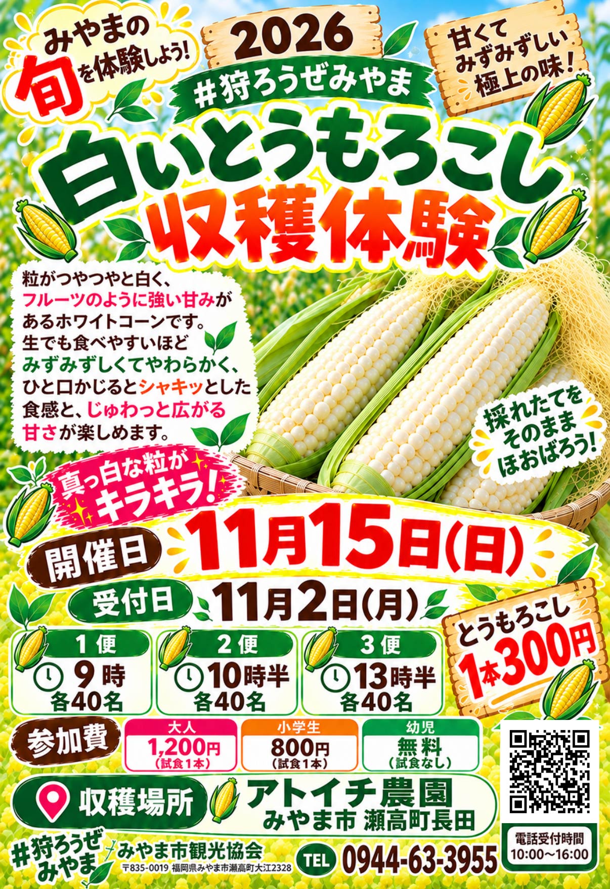 #狩ろうぜみやま『白いとうもろこし収穫体験2026』みやまの旬を体験しよう！